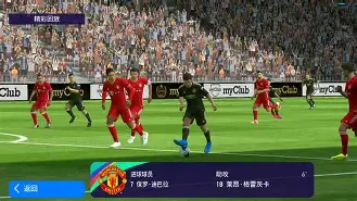 爱尔兰足球阵容